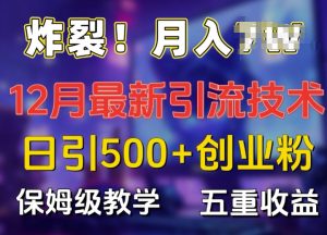 12月最新日引流500+创业粉,多重收益保姆级教学揭秘-小伟资源网