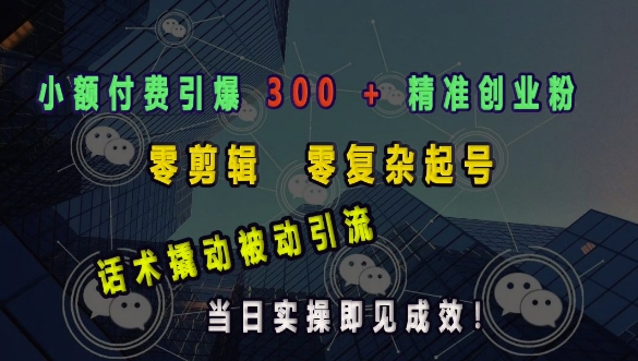 小额付费策略：零剪辑、简单话术，当日见效，精准吸引300+创业粉丝-小伟资源网