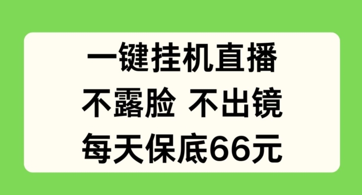 揭秘：一键挂JI直播，无需露脸出境，日赚保底66元-小伟资源网