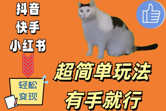 揭秘：轻松日赚500+，只需拍摄猫咪视频的简单玩法-小伟资源网