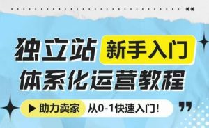 独立站新手从0到1的体系化运营教程，快速入门指南-小伟资源网