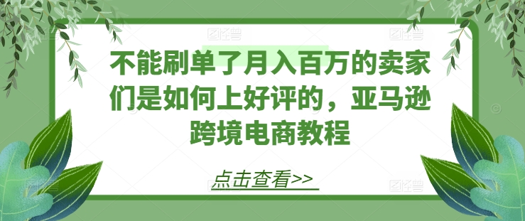 亚马逊卖家新策略：月入百万不再依赖刷单，揭秘好评获取秘籍-小伟资源网