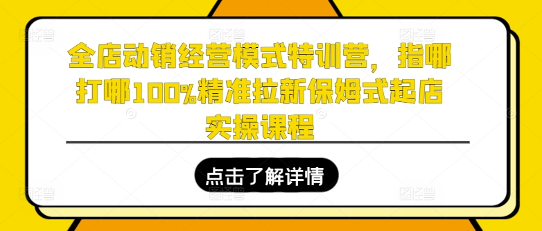 全店动销特训营：精准拉新与保姆式起店实操课程，100%提升销售技巧-小伟资源网