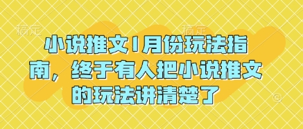 1月小说推文玩法全解析：轻松掌握推文技巧与策略-小伟资源网