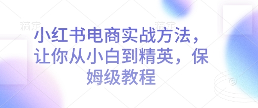 小红书电商实战：从小白到精英的保姆级教程-小伟资源网