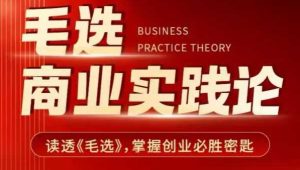 《毛选》商业智慧：解锁创业成功的秘诀与实践指南-小伟资源网