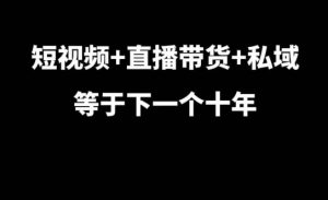 短视频+直播带货+私域运营：未来十年电商趋势与7年实战经验分享-小伟资源网