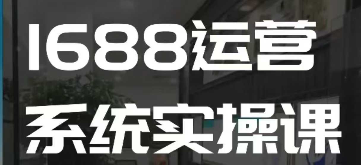 1688店铺运营高阶实操课：快速掌握核心玩法与系统操作技巧-小伟资源网