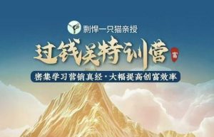 剽悍一只猫特训营：掌握营销真经，大幅提升创富效率-小伟资源网