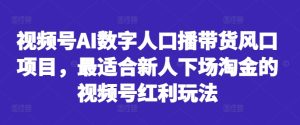 视频号AI数字人口播带货：新人淘金的最佳视频号红利玩法-小伟资源网