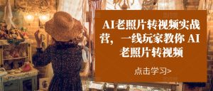 AI老照片转视频实战营:一线玩家手把手教你如何用AI技术将老照片转化为动态视频-小伟资源网