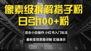 揭秘像素级拆解搭子粉：日引100+，小白轻松上手的最新变现思路-小伟资源网