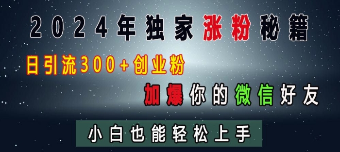 2024年创业粉引流秘籍：日增300+微信好友，小白轻松上手-小伟资源网