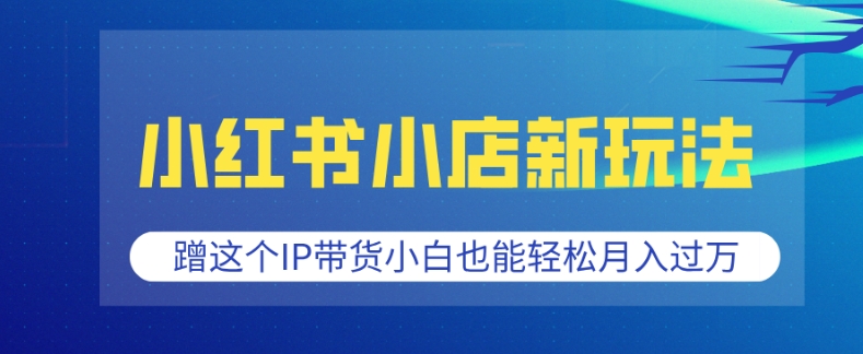 小红书小店新策略：借助热门IP轻松月入过万，新手也能快速上手-小伟资源网