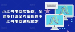 小红书电商实操课：全方位梳理与全体系打造电商逻辑-小伟资源网