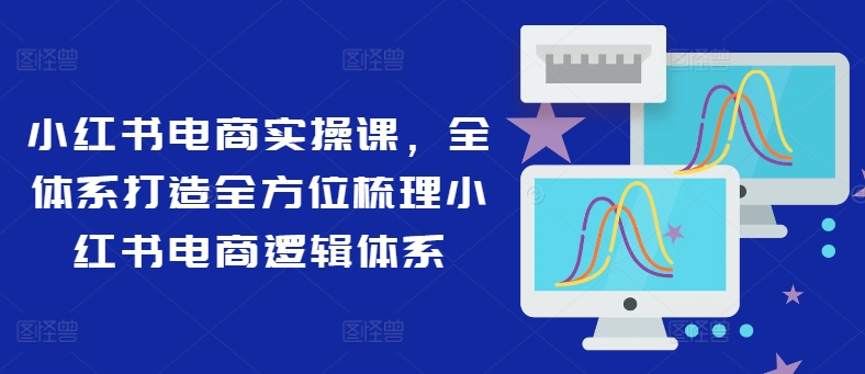 小红书电商实操课：全方位梳理与全体系打造电商逻辑-小伟资源网