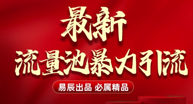 全网首发：无门槛暴力引流技巧，日增500+流量轻松实现-小伟资源网