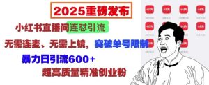 2025小红书直播间新策略：无需连麦上镜，单号日引流600+-小伟资源网