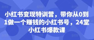 小红书变现特训营:24堂爆款课,从0到1打造赚钱账号-小伟资源网