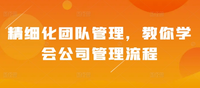 掌握精细化团队管理技巧，提升公司管理流程效率-小伟资源网