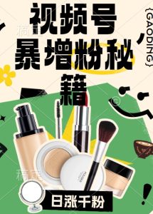 视频号快速涨粉秘籍：一天内增粉1000+，当天开通橱窗技巧大揭秘-小伟资源网