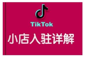 TikTok跨境小店运营指南：掌握独立运营技巧，快速提升销量-小伟资源网