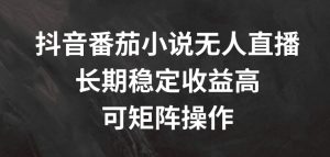 揭秘抖音番茄小说无人直播：长期稳定高收益，支持矩阵操作-小伟资源网