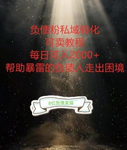 负债粉掘金计划：债务规划与重组的最佳变现方式揭秘-小伟资源网