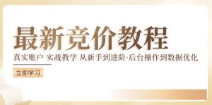 竞价实战教程：从新手到进阶，后台操作与数据优化全攻略-小伟资源网