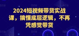 2024短视频带货实战课：掌握底层逻辑，告别凭感觉带货-小伟资源网