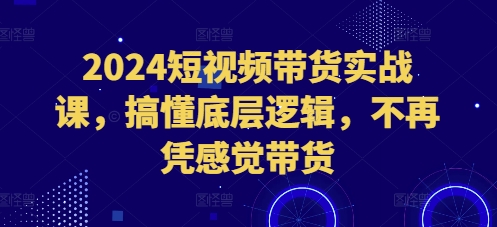 2024短视频带货实战课：掌握底层逻辑，告别凭感觉带货-小伟资源网