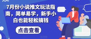 7月小说推文新手攻略：简单易学，轻松赚钱技巧全解析-小伟资源网