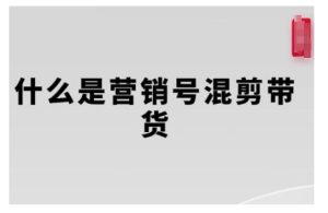 营销号混剪带货全攻略：从内容创作到流量变现的完整流程解析-小伟资源网