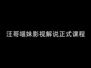 汪哥影视解说课程：剪映/PR教学、5大剪辑法则与7把全流程利器-小伟资源网