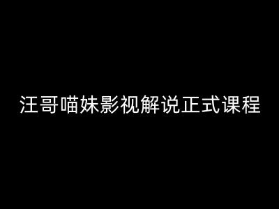汪哥影视解说课程：剪映/PR教学、5大剪辑法则与7把全流程利器-小伟资源网