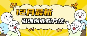 12月多平台引流创业粉新方法，简单易行，快速见效-小伟资源网