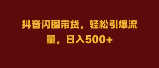抖音闪图带货秘籍：轻松引爆流量，日入千元【揭秘】-小伟资源网