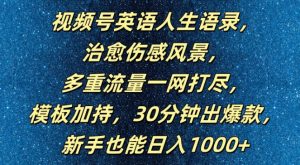 《视频号英语语录爆款秘籍：30分钟打造日入1000+的流量变现模板》-小伟资源网