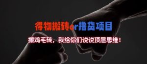 揭秘得物搬砖撸货项目：数据解析与顶层思维深度剖析-小伟资源网