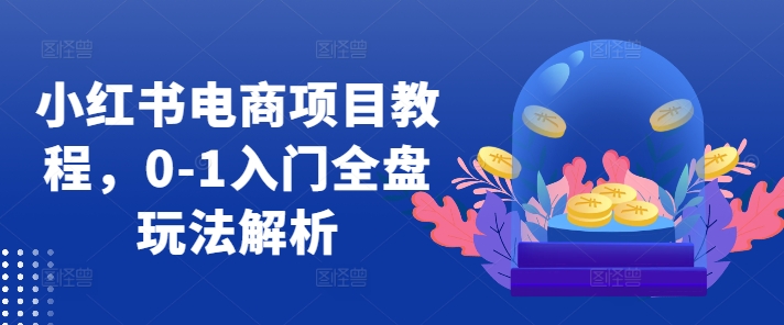 小红书电商从0到1：全盘玩法解析与入门教程-小伟资源网