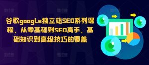 谷歌SEO全攻略:从零基础到高手,掌握独立站优化技巧-小伟资源网