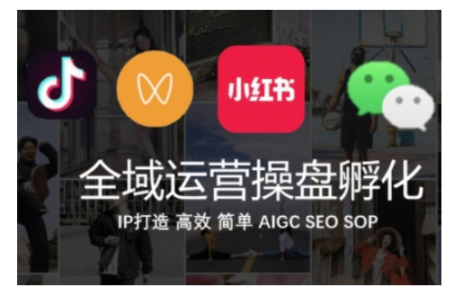 全域运营策略：抖音、私域、小红书IP打造全攻略-小伟资源网