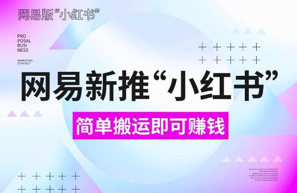网易新推“小红书”搬运赚钱攻略，新手小白必看详细教程【揭秘】-小伟资源网