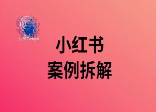 《小红书40万粉丝案例深度解析：成功秘诀与运营策略全揭秘》-小伟资源网