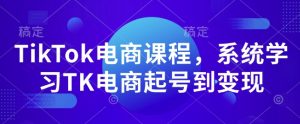 TikTok电商全攻略：从起号到变现的系统学习课程-小伟资源网