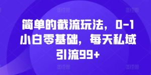 揭秘:零基础小白如何通过简单截流玩法实现每日私域引流99+-小伟资源网