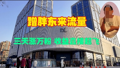 蹭胖东来流量三天涨万粉，收益飙升！-小伟资源网