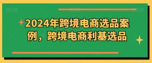 2024年跨境电商选品策略与利基市场案例分析（11月更新）-小伟资源网