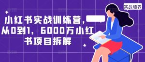 小红书实战训练营：从0到1拆解6000万项目，掌握运营秘籍-小伟资源网