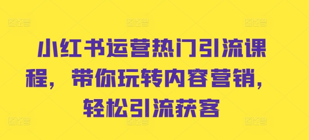 小红书内容营销实战课：热门引流技巧，轻松获客秘籍-小伟资源网